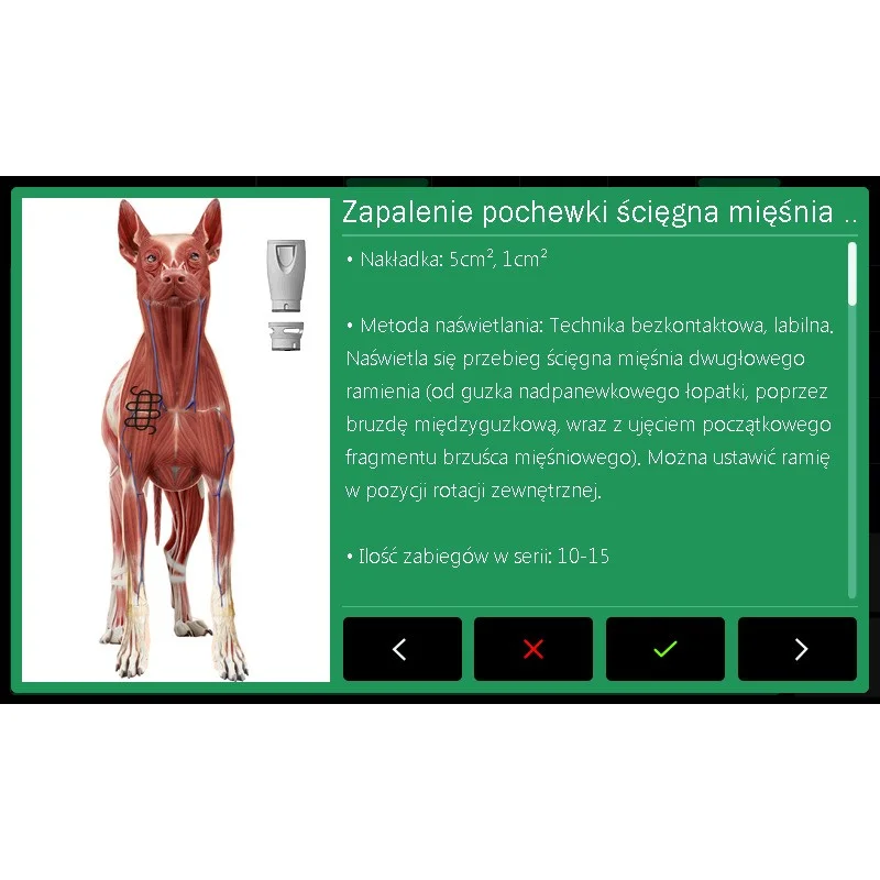 Ekran Polaris HP Vet z programem zabiegowym dla psa