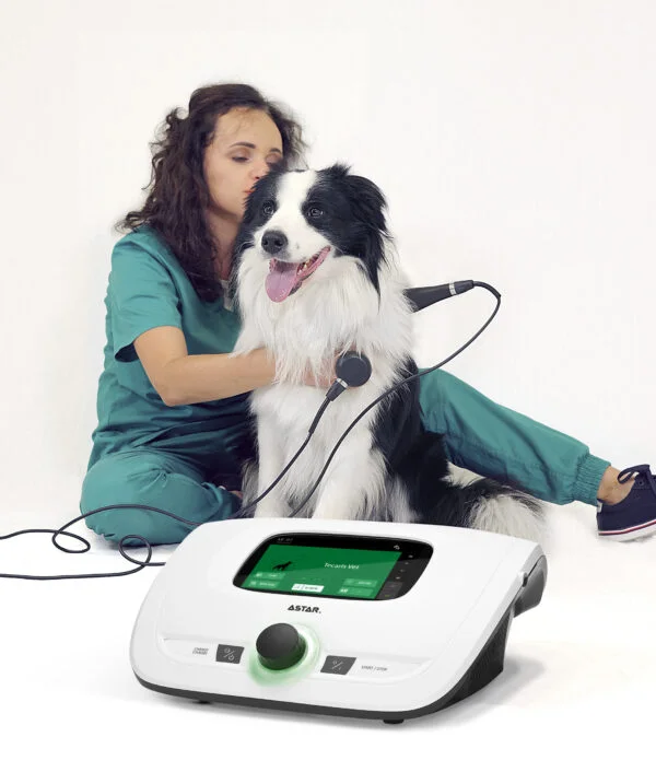 Aparat do terapii TECAR Astar Tecaris Vet podczas zabiegu u psa rasy border collie